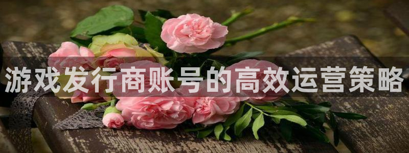 蓝图娱乐官网gs