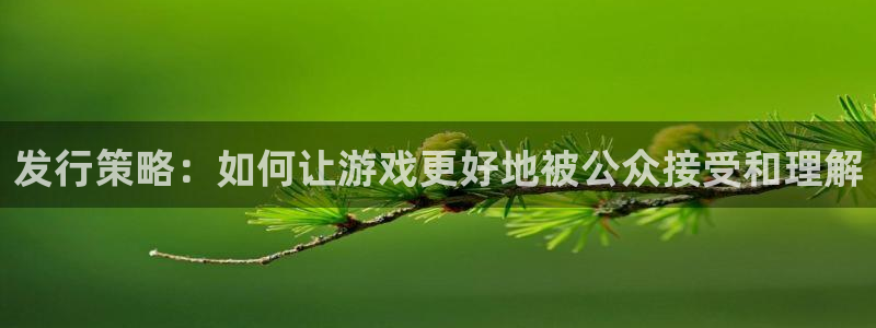 蓝图娱乐注册平台怎么样：发行策略：如何让游戏更好地被公众接受和理解