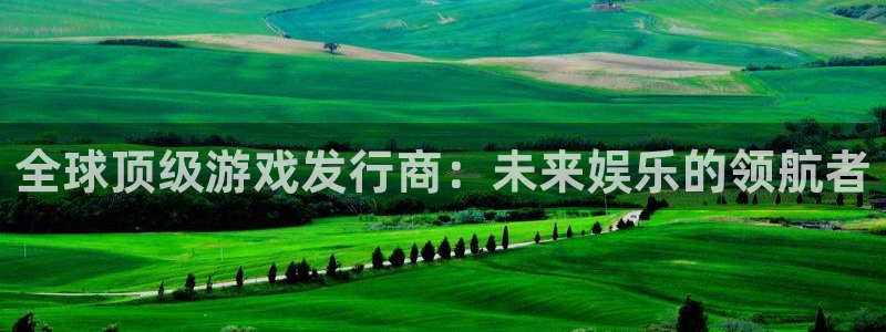 广东蓝图娱乐官网电子商务有限公司电话：全球顶级游戏发行商：未来娱乐的领航者