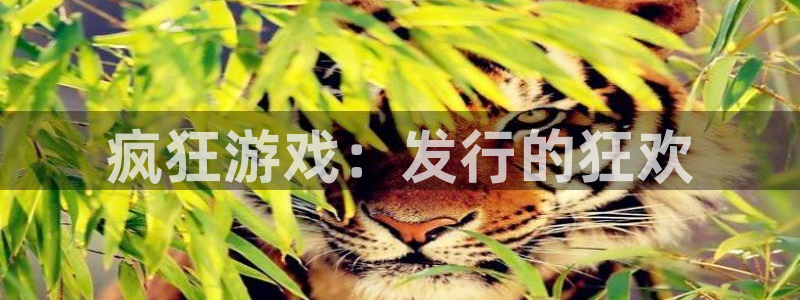 四川蓝图娱乐官网科技有限公司：疯狂游戏：发行的狂欢