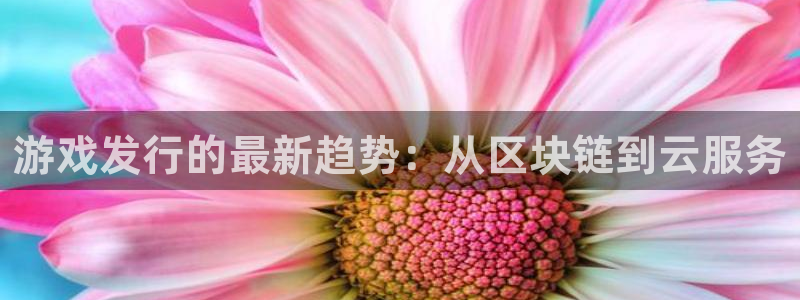 蓝图娱乐注册方法有哪些呢：游戏发行的最新趋势：从区块链到云服务