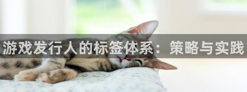 蓝图娱乐平台代理开号是真的吗